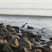 Baja2011 505 : Baja2011